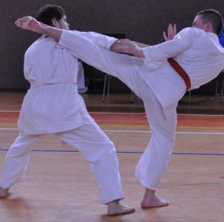 Dole: Jan Průšek a Ondřej Vachek Jedinou disciplínou, na které se podepsala nemoc, a tedy i neúčast některých členů našeho oddílu, byla kategorie sparingu a sportovního boje.