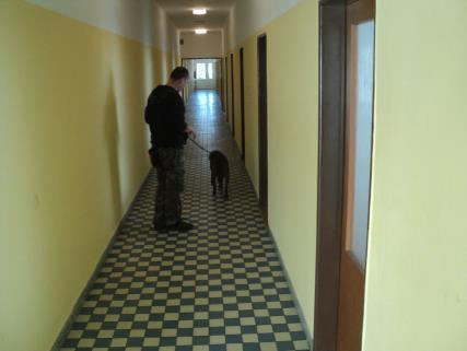 Učitelé v teoretické výuce i ve výuce na praxi, vychovatelé, výchovná poradkyně, speciální pedagožka i metodik prevence.
