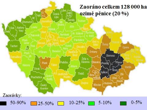 Čechách a vyležením pod sněhem na Českomoravské vrchovině zima 2009/2010 dlouhotrvající sněhová pokrývka s mrazy v celé ČR zima 2011/2012 silné poškození obilnin holomrazem na Moravě, pod slabou