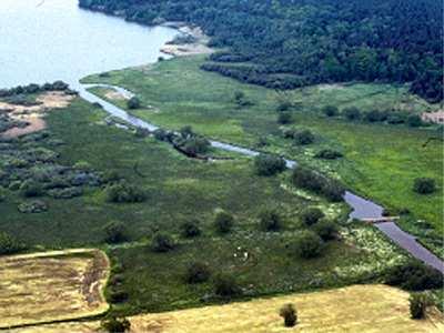 218 Milena Kovářová Třeboňsko, oblast velkých a rozmanitých mokřadů.