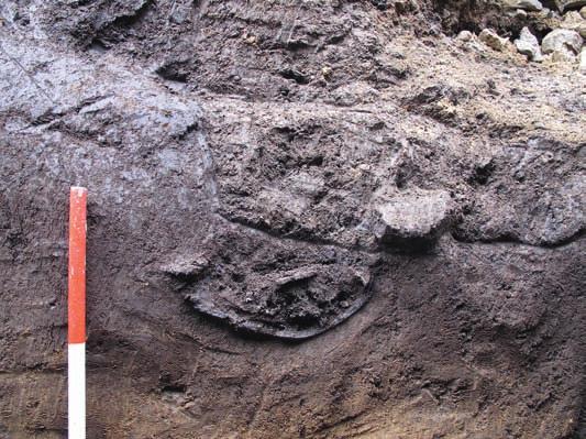Archeologické rozhledy LXIX 2017 535 Obr. 4. Brno Polní ulice. Uložení 2. žárového hrobu (H2, s. j. 123) do půdního horizontu. Fig. 4. Brno Polní Street.