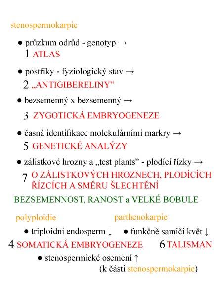 Obrázek 1: Celkový pohled na činnost realizovanou v pokusném období,