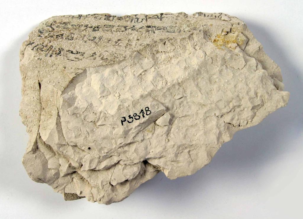 Obr. 5. Anonym, Hieratické ostrakon s částí Amenemhetova naučení, 19. dynastie (cca 1292 1186 př. n. l.