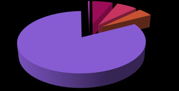 11% WSMV 6% Směs. Inf.