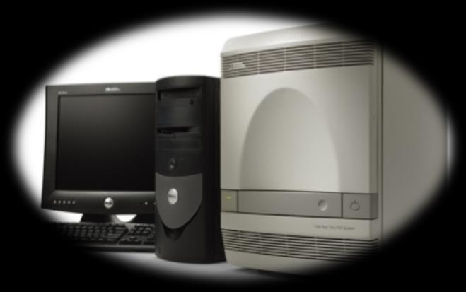 pro identifikaci kmenů WDV WDV-B (ječmen) WDV-W (pšenice) Real-time qpcr pro kvantifikaci titru WDV YNKM06-1[EF536883] SXYL05-3 [EF536879] HBSJZ06-12 [EF536871] 100/ 84/9 1 GSGG05-1 [EF536859]