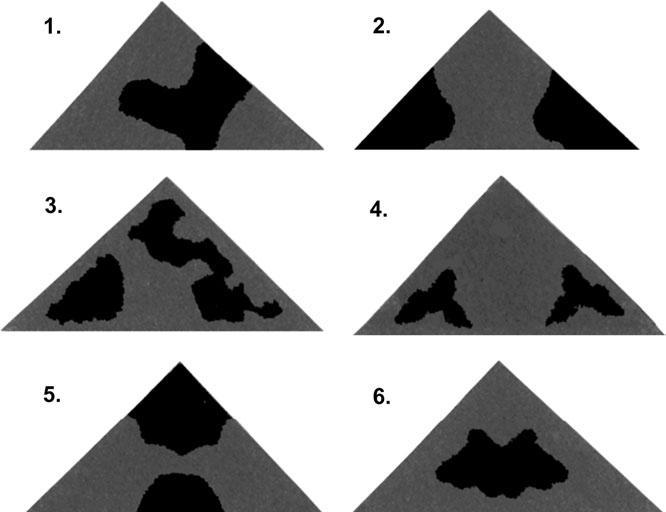 (Obr. 14) Ukázkové modely: 1) disruptivní asymetrický, 2) disruptivní symetrický s prvky blíže k okraji, 3) nedisruptivní asymetrický, 4) nedisruptivní symetrický s prvky blíže k okraji, 5)
