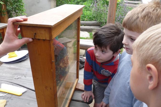 Projekt Včelí království v 1. B Šli jsme do školky u botanické zahrady.