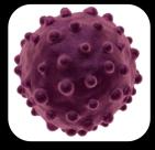 (chlorové preparáty či kyselina peroctová) Virus hepatitidy A nákaza oro-fekálně (kontaminovaná voda,