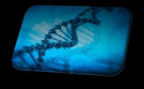 Detekce virů v potravinách extrakce virionů (homogenizace a centrifugace vzorku) koncentrace viru (kyselé srážením, vyvločkování) detekce viru vhodnou metodou Polymerázová řetězová reakce amplifikace