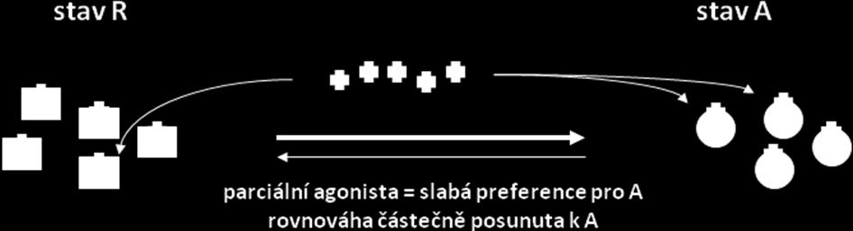Antagonista se váže na obě formy, A i R, bez jakékoliv preference. Vzniknou komplexy L-R a L-A.