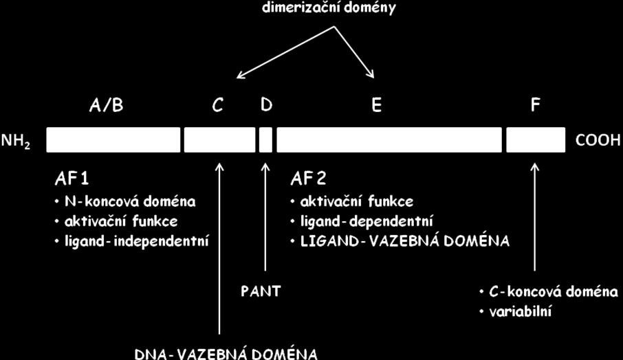 Obrázek č.