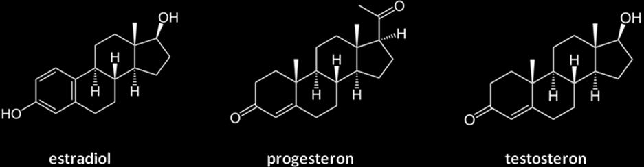 estron, estriol a především estradiol (17 -estradiol; E2).