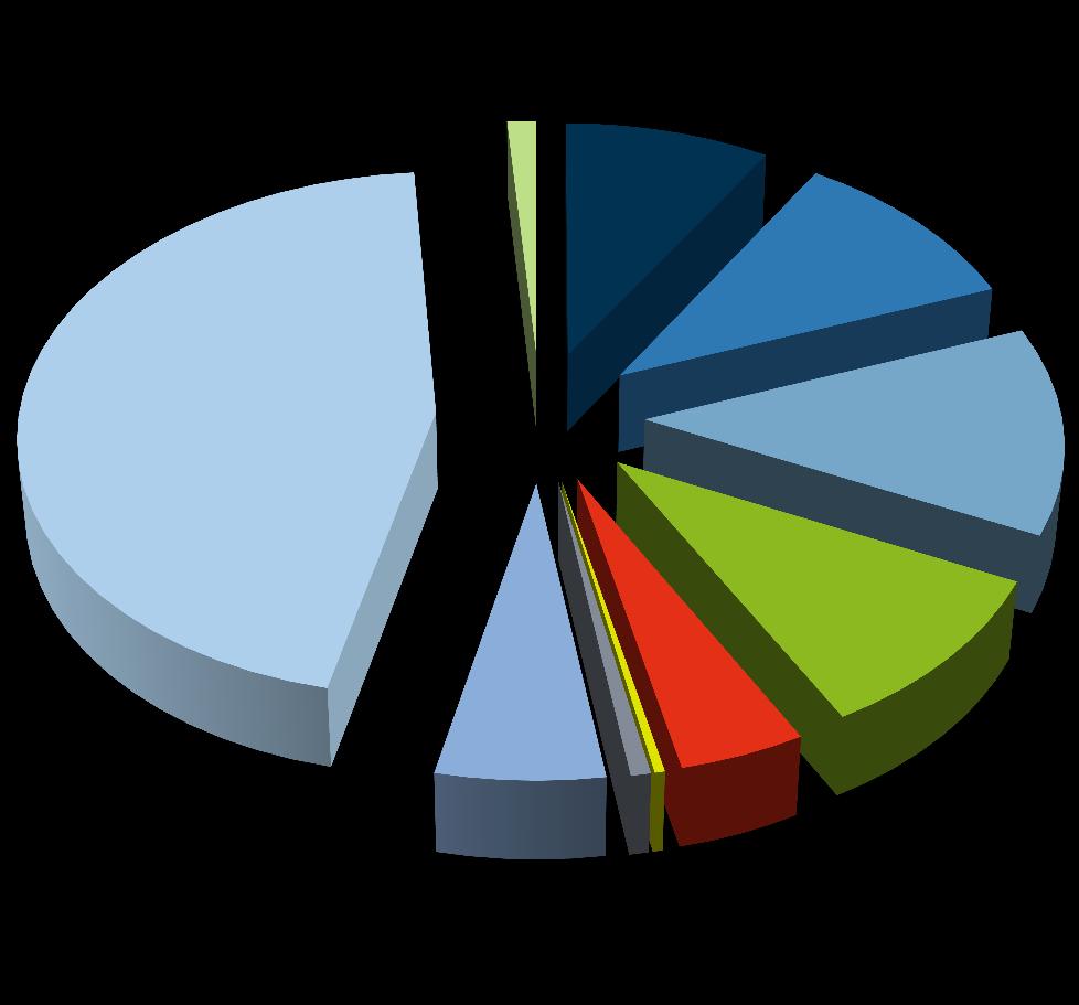 Podíl rozhlasových stanic na trhu (v %) -,1 Ostatní 1,2 % Evropa 2 8,8