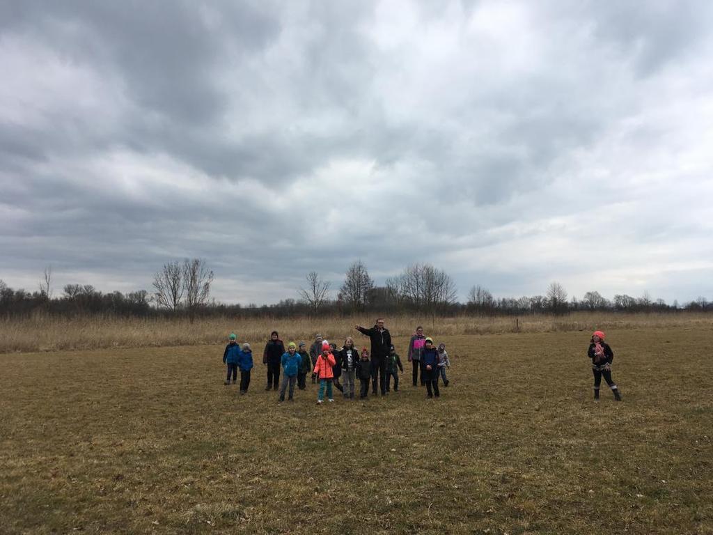 mateřské a základní školy.