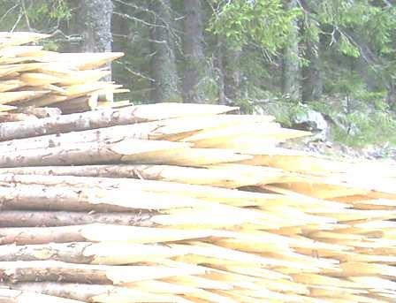 energie, možnost recyklace surovin, případně jejich ekologicky bezproblémová likvidace preference produktů a technologií,