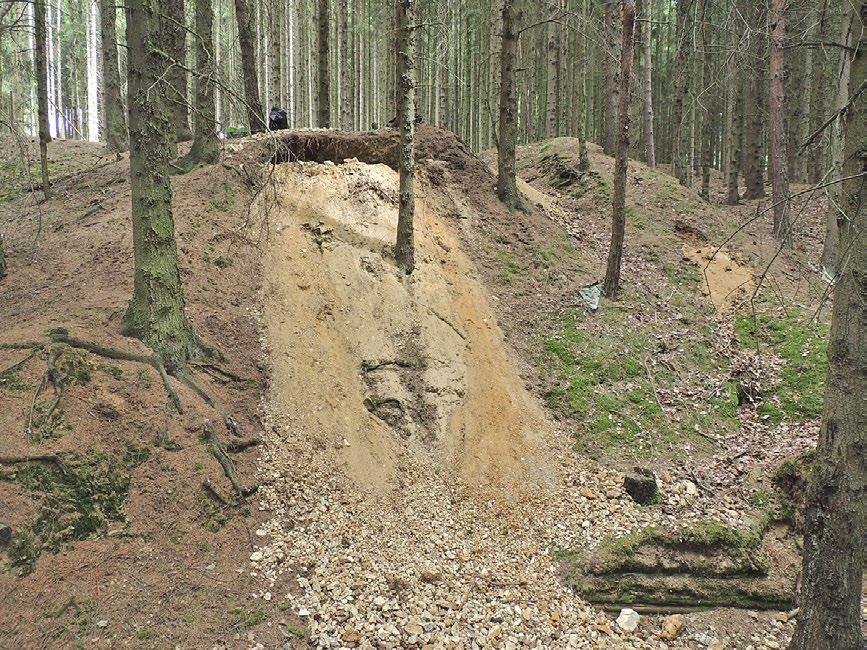Chodové Plané, tvořený dvěma rudními žilami a několika odžilky. Žilnou výplň ložisek v blízkém okolí Michalových Hor tvořily především baryt a karbonáty s Ni-Co, méně Ag-Pb-Zn zrudněním.