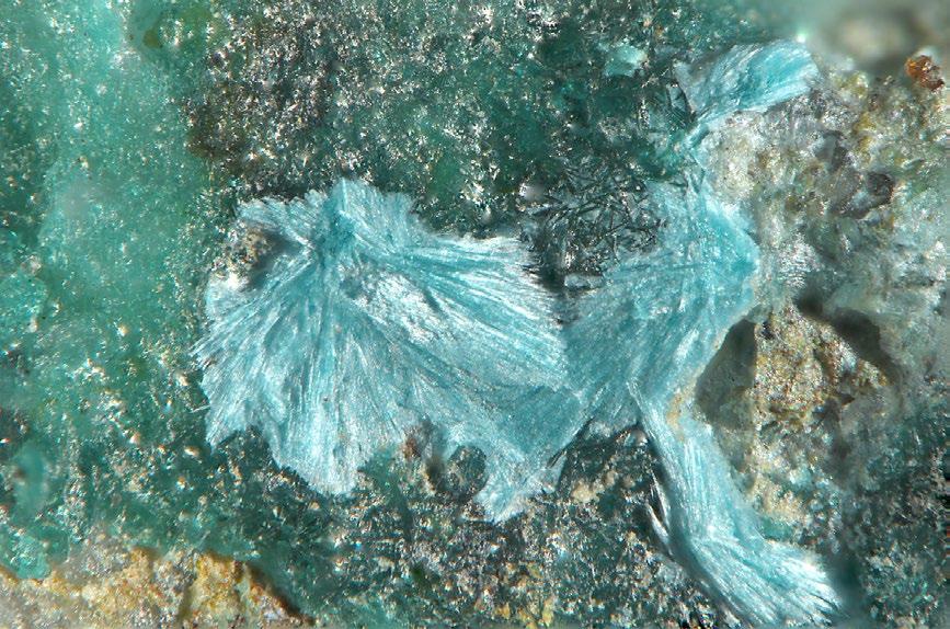 1 mm; foto L. Vrtiška. máš a Sv. Antonín. V žilovině se objevují zrnité agregáty galenitu a pyritu, v menší míře sfaleritu.