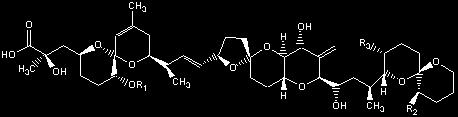 DSP Okadaic acid Patinopecten yessoensis