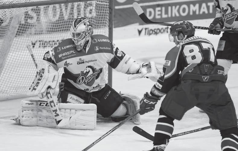 Pardubický klub začal nosit staronový název Dynamo Pardubice a velkými změnami prošel také samotný A-tým. A to nejen během minulého léta.