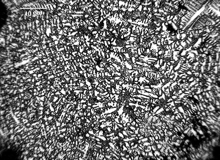 Obr.5. Mikrostruktura RZ částice frakce 125-180 µm, strukturní typ 1. Obr.6. Mikrostruktura RZ částice frakce 25-45 µm, strukturní typ 2. Na Obr.