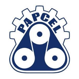 PAPCEL, a.s. Vzdálené přístupy + monitorování ŘS. Manažerské online reporty z ŘS. Programátory řídících systémů. Realizaci řídících systémů na větší projekty. Výrobu rozvaděčů. Pozn.