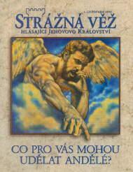 Příloha č.