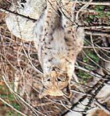 prostredia Centrum
