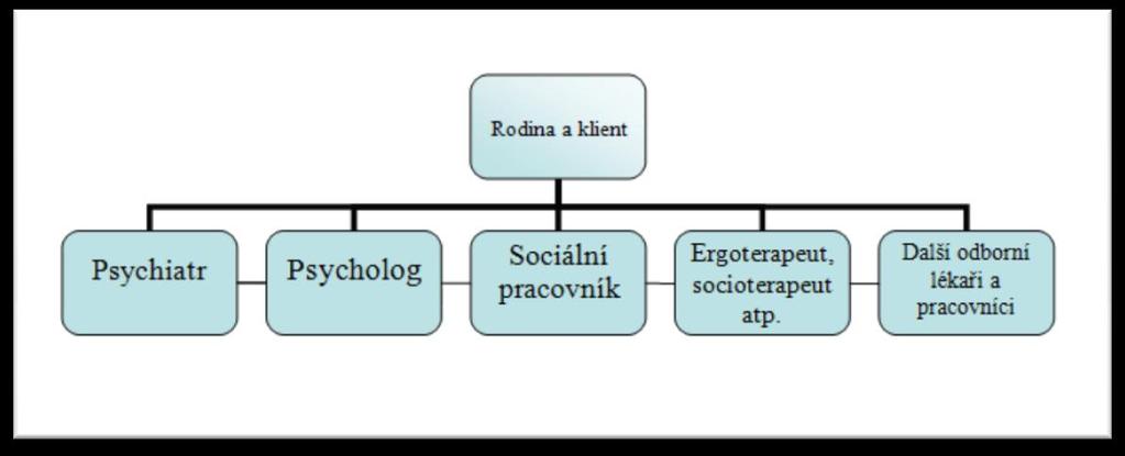 3.4.1 Rovná pracovní pozice členů teamu Schéma uspořádání pracovního teamu je specifické tím, že každý člen, i zákonní zástupci či blízké osoby jsou zapojeny do péče poskytované klientovi a všichni