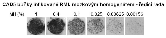 5.1 Senzitivita CAD5 buněk k infekci různými prionovými kmeny 46 ředění mozkového homogenátu použitého k infekci bylo 20krát nižší, viz 4.2.2).