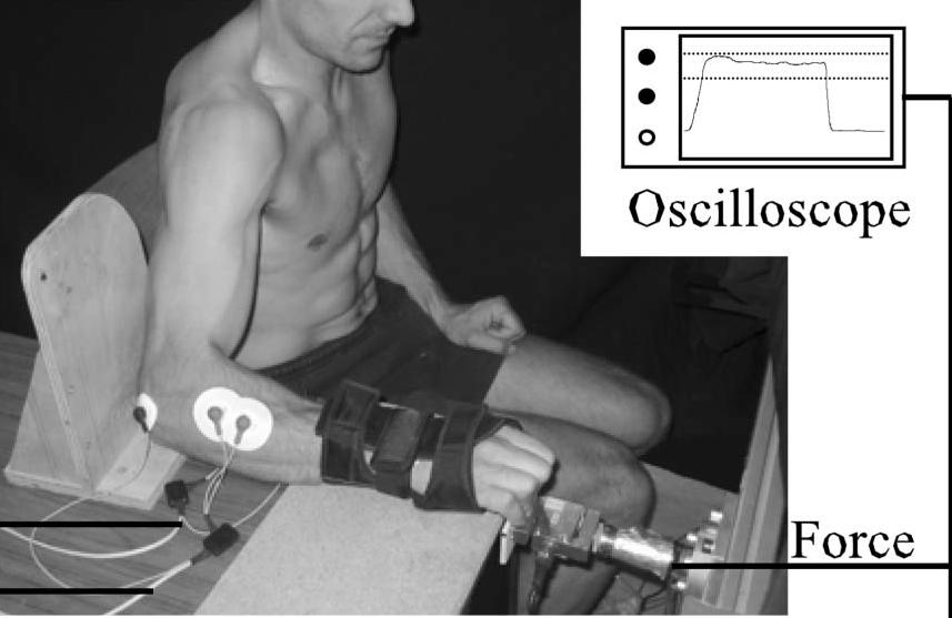 Vigoroux a Quaine (2006) zjišťovali maximální sílu flexorů prstů v polouzavřeném úchopu na 19 lezcích (9 elitních lezců a 10 nelezců) pomocí speciálně upraveného laboratorního dynamometru.