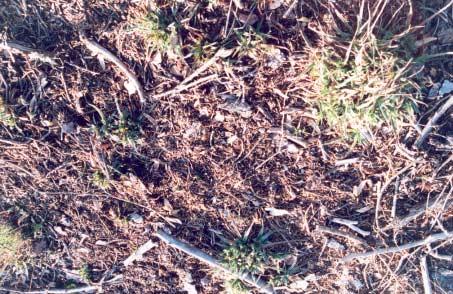 Foto 6: Detailní pohled na