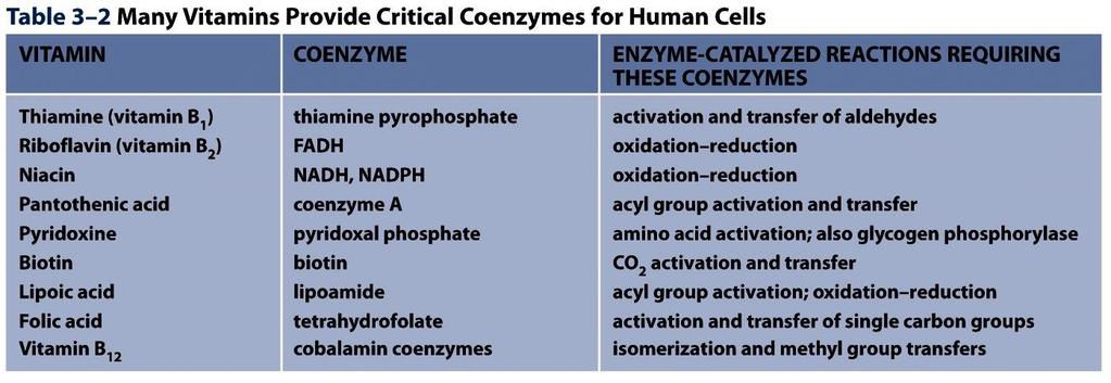 Table 3-2 Molecular Biology of