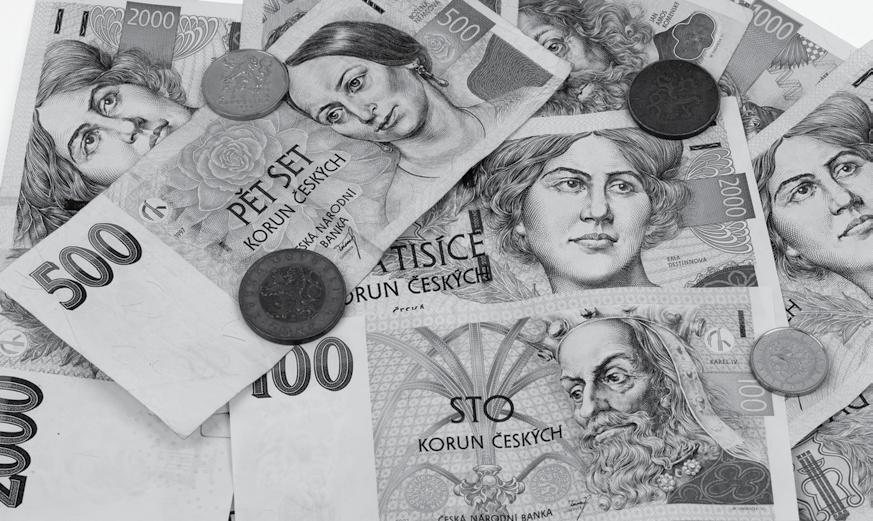Ústav byl zřízen k 15. 8. 1992. Po zrušení Ekonomického ústavu ČSAV a Prognostického ústavu ČSAV je jediným pracovištěm AV ČR zabývajícím se ekonomickou problematikou. Od 1. 1. 2007 se ústav stal veřejnou výzkumnou institucí ve smyslu zákona č.