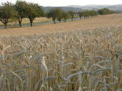 BIOSLOŽKY V