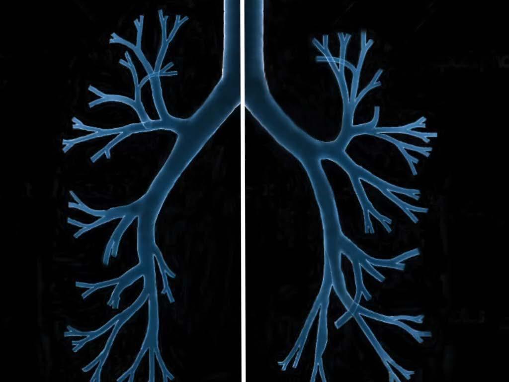 Efektivita alveolární ventilace