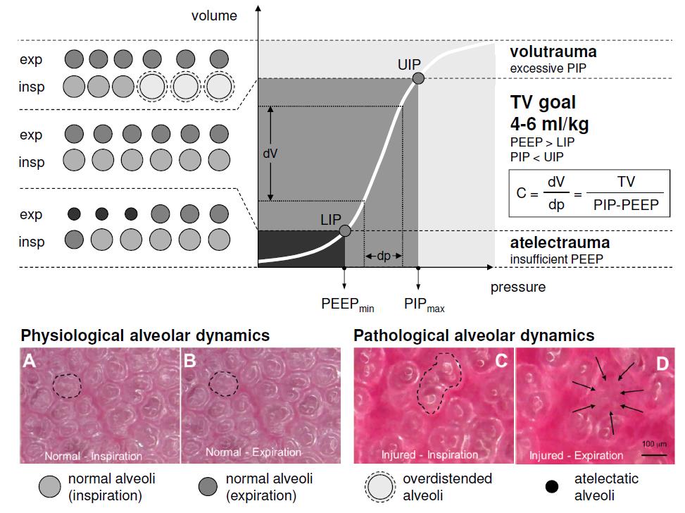 Berger, et al