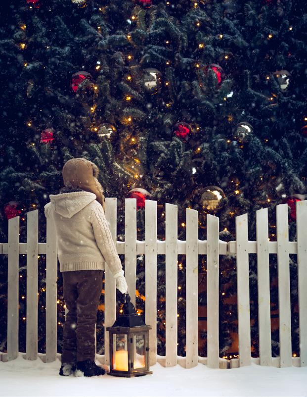 Brumlovka Square Christmas Tree Lighting Ceremony WHEN: Wednesday, November 28, 2018 (2:00 p.m. 7:00 p.m) WHERE: Brumlovka Square Advent is approaching rapidly!