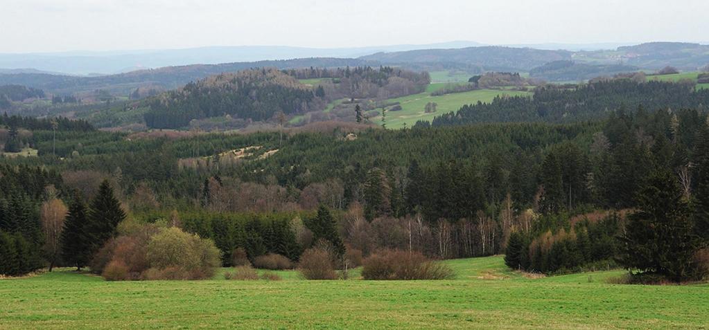 Obr. 2. Plánický hřeben, pohled od Zdebořic, v pozadí Brdy (všechna foto J. Červený). Fig. 2. View of the Plánický hřeben ridge from Zdebořice, with the Brdy Mts. in the background (all photos by J.