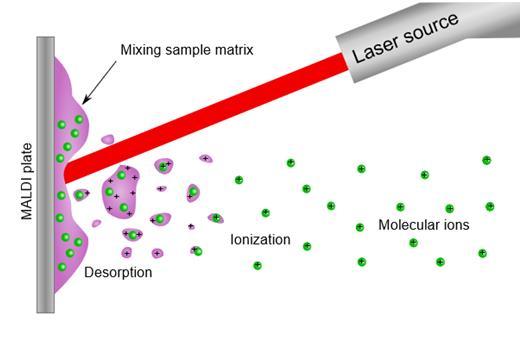 Ionizace laserem za účasti matrice - MALDI Matrice
