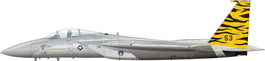 Fighting Eagle 1176 US SUPERSONIC FIGHTER 1:48 SCALE PLASTIC KIT intro In October 1965 the requirements for air superiority fighter were issued by U. S. Air Force.