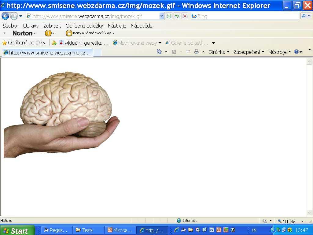 1. Molekulárně biologické aspekty vývoje nervového systému Vývoj CNS a neurální lišty- úloha genů, struktura perif.