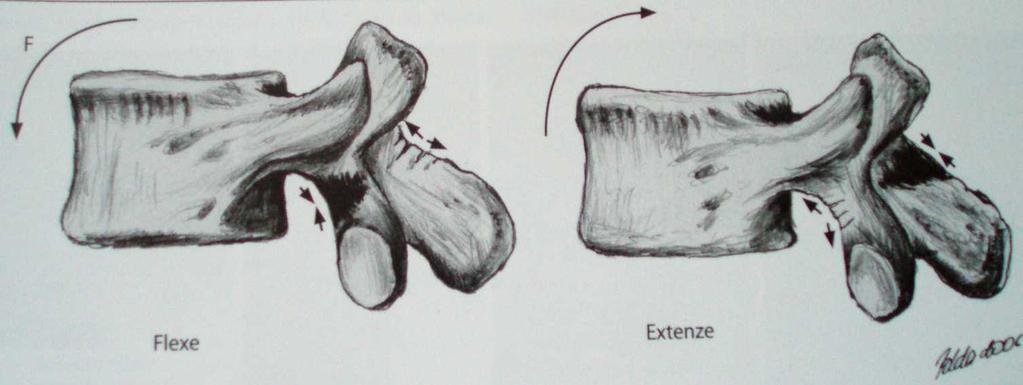 Mechanizmus