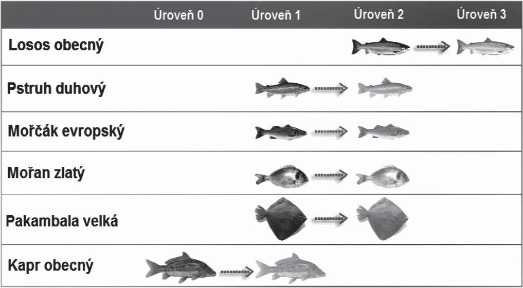 Obr. 2: Současná úroveň selekčního šlechtění u šesti významných akvakulturních druhů a cíl po řešení projektu FISHBOOST Dědivosti znaků jako je dosažená hmotnost a výtěžnostní ukazatele u syntetické