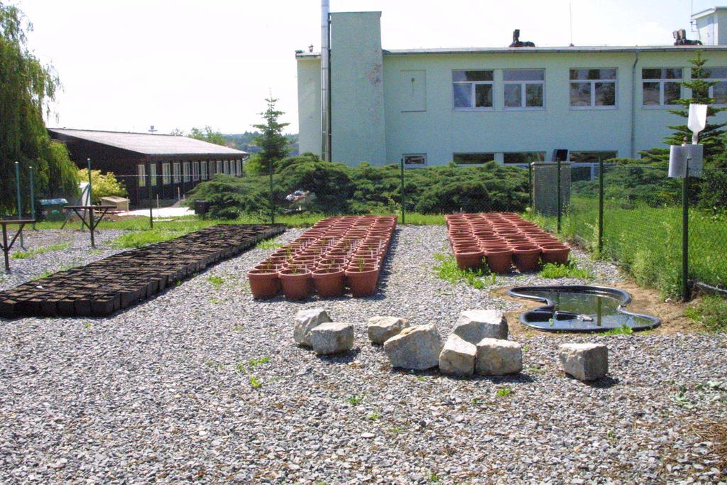 kamyšníků na sítech (Mikulka 2009) Obr.