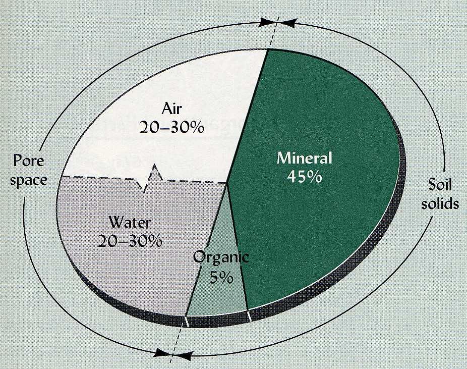 Půda - 4 složky: minerálníčástice