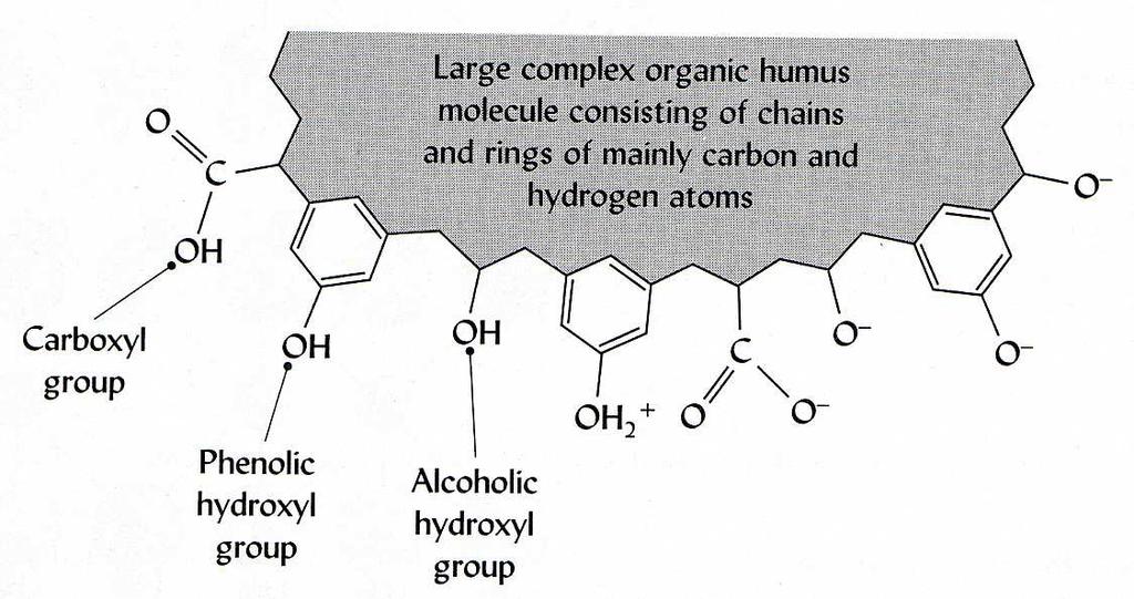Jíly tvořené oxidy hliníku nebo železa - krystalická i nekrystalická struktura - positivní i a negativní náboje - např.