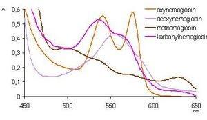 1.1.2 Spektrofotometrie derivátů hemoglobinu Absorpční spektra hemoglobinu a jeho derivátů emoglobin a jeho deriváty mají ve viditelné oblasti světla charakteristická absorpční spektra, kterých se