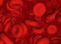 7) Vymenujte funkcie krvi: (7 b) a)... b)... c)... d)... e)... f)... g)... 8) V krvnej plazme sa nachádzajú anorganické látky vo forme iónov, ako sú napríklad......, ich funkciou je.