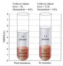 Delší dobu trvající vytrvalostní aerobní trénink vede ke zvětšení množství krve : 1. nejprve objem plazmy 2.