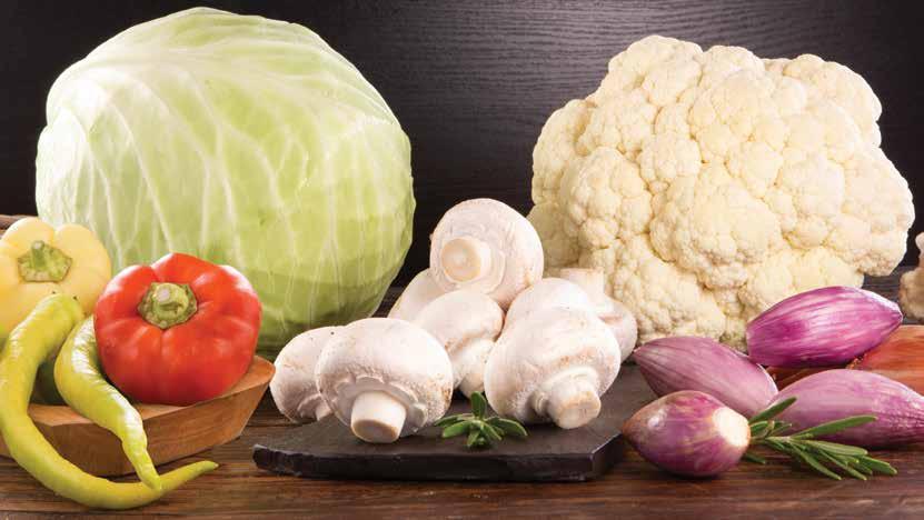 V predajniach dostupné buď voľné alebo balené v ochrannej atmosfére Bravčové plece bez kosti 1 kg jednotková cena 3,39 EUR/kg Voľné 3 39 Bravčové plece bez kosti 1 kg jednotková cena 3,59 EUR/kg